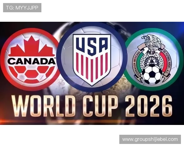 各大洲世界杯名额分配的公平性分析与优化建议探讨